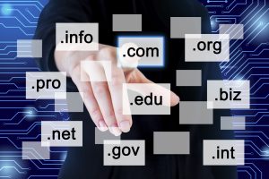 Domain Names and Hosting