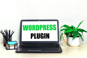 must have wordpress plugins